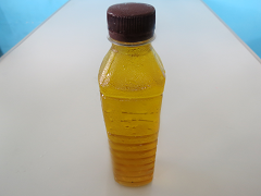 น้ำเก๊กฮวย